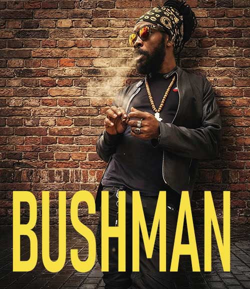 Bushman